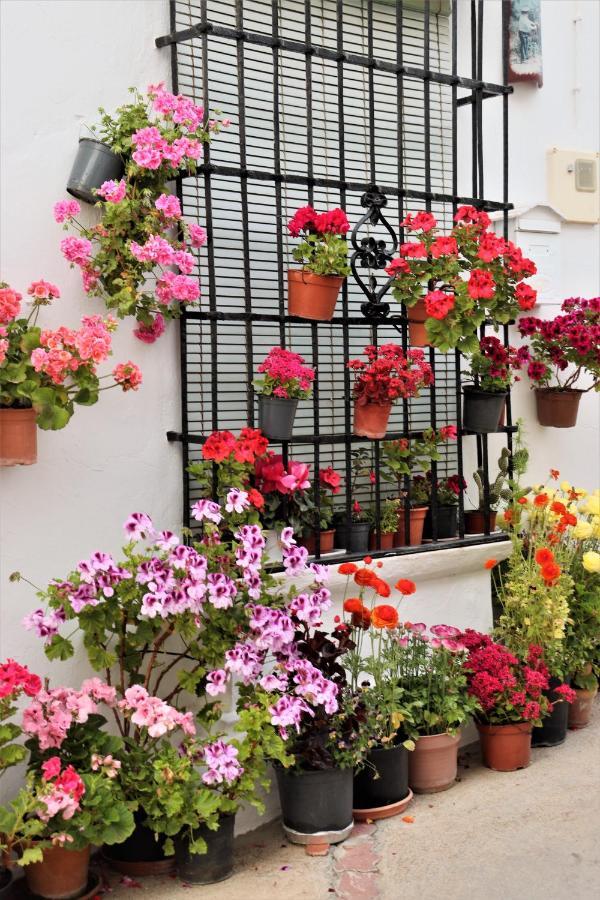 Hostal Moncada Gaucín Buitenkant foto