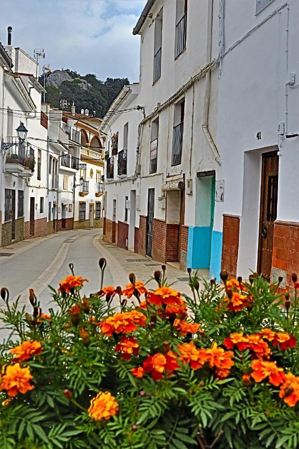 Hostal Moncada Gaucín Buitenkant foto