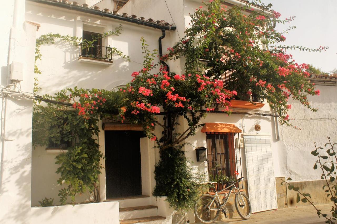Hostal Moncada Gaucín Buitenkant foto