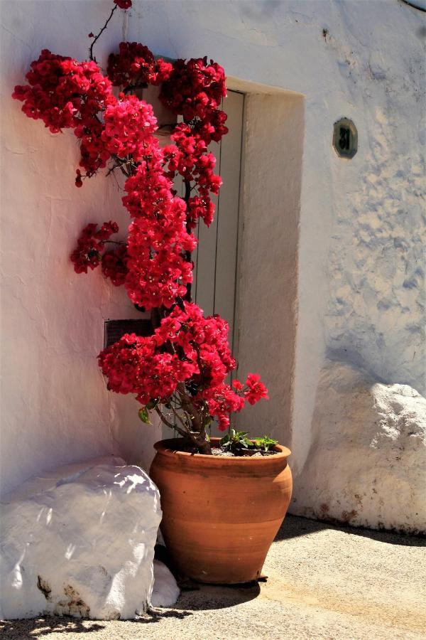 Hostal Moncada Gaucín Buitenkant foto