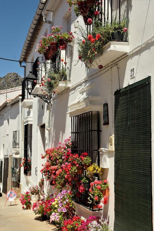 Hostal Moncada Gaucín Buitenkant foto